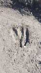 20180627_101624.jpg