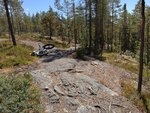 IMG_20180630_140151.jpg
