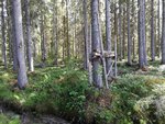 IMG_20180708_162827.jpg