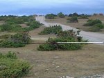 Foto0124.jpg