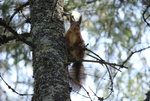 IMG_0551.JPG