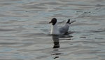DSC02698.JPG