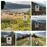 20180727_113433-COLLAGE.jpg