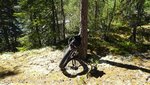 DSC02482.JPG