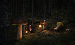 Magic-mushrooms-stubbe-webb-webb-crop.jpg