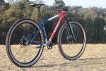 Ritchey-P-29erBuilt-3.jpg
