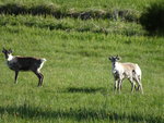 DSC00487.JPG