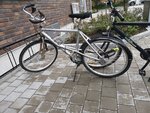 IMG_20180831_100222.jpg