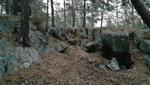 ezgif.com-video-to-gif-1.gif