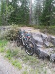 IMG_20180906_170445.jpg