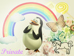 Private-penguins-of-madagascar-27293463-1024-768.jpg