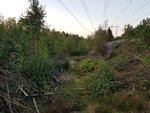 20180828_195839.jpg