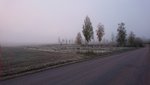 DSC_0411.JPG