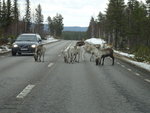 DSC00275.JPG