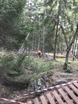 7159F373-1A23-43AF-B631-83C977F27D13.jpeg