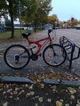 IMG_20181008_072040.jpg