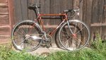 Wilier Stål.jpg