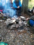 IMG_20181013_150846.jpg