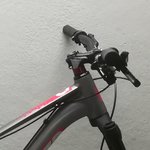 IMG_20181022_074453.jpg