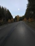 39BE3686-2CD2-446D-A026-93CA6CC8DF4A.jpeg