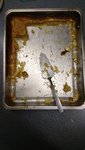 DSC_1272.JPG