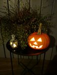 IMG_20181102_173037.jpg