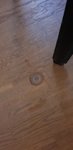 20181119_075127.jpg
