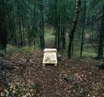 IMG_6152.JPG