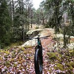 IMG_20181201_154047_366.jpg