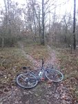 20181202_134034.jpg