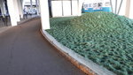 20181120_134021.jpg