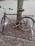 IMG_20181224_124330.jpg