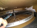 IMG_20190109_184405833.jpg