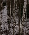 _20190110_163449.JPG