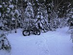 IMG_20190112_143920.jpg