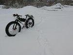 IMG_20190202_122126.jpg