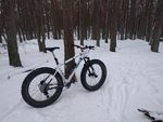 IMG_20190202_103340.jpg