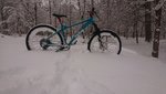 DSC_0160.JPG