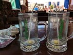 IMG_20190213_144148.jpg