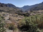 IMG_20190213_144638.jpg