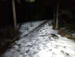 IMG_20190214_185504946.jpg