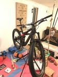 9EFDC237-076D-4711-A269-8D831D473994.jpeg