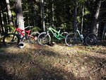 IMG_20190220_135740.jpg