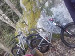 20190223_112312.jpg