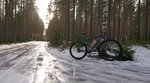 _20190224_195357.JPG