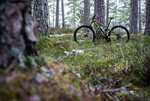 DSC09067-wevv12.jpg