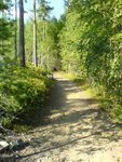 DSC00931.JPG