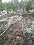IMG_20190227_155151.jpg