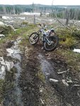 IMG_20190227_154355.jpg