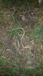 20180512_213444.jpg